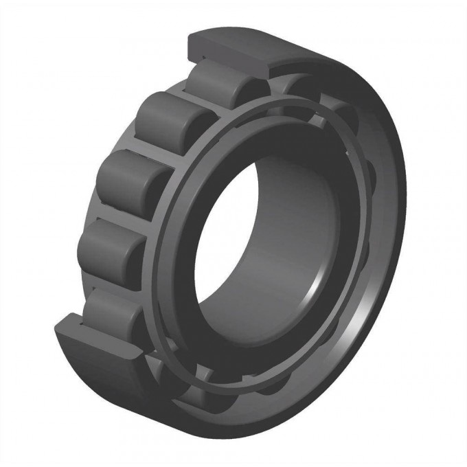 NTN-SNR NF219 Однорядные цилиндрические роликоподшипники 400324