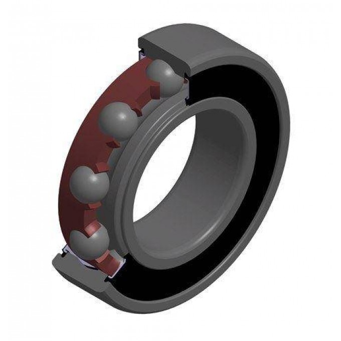 NTN-SNR 6005T2X3LLBC3/L051QTK Однорядные шарикоподшипники 404476